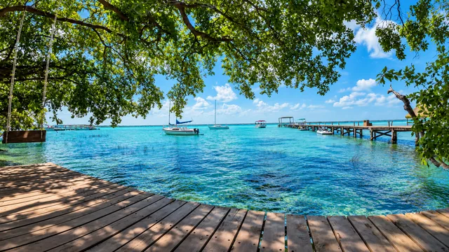 Vista de la Laguna de Bacalar desde una plataforma de madera bajo los árboles.