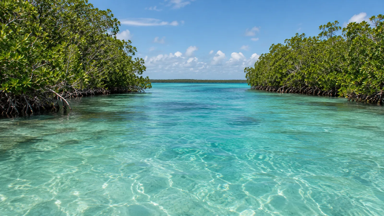 Canal de los Piratas en Bacalar: cómo llegar y qué esperar