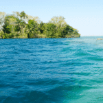 Cenote Esmeralda en Bacalar: por qué tiene ese color y qué lo hace tan especial